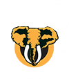 DSCF_logo_white