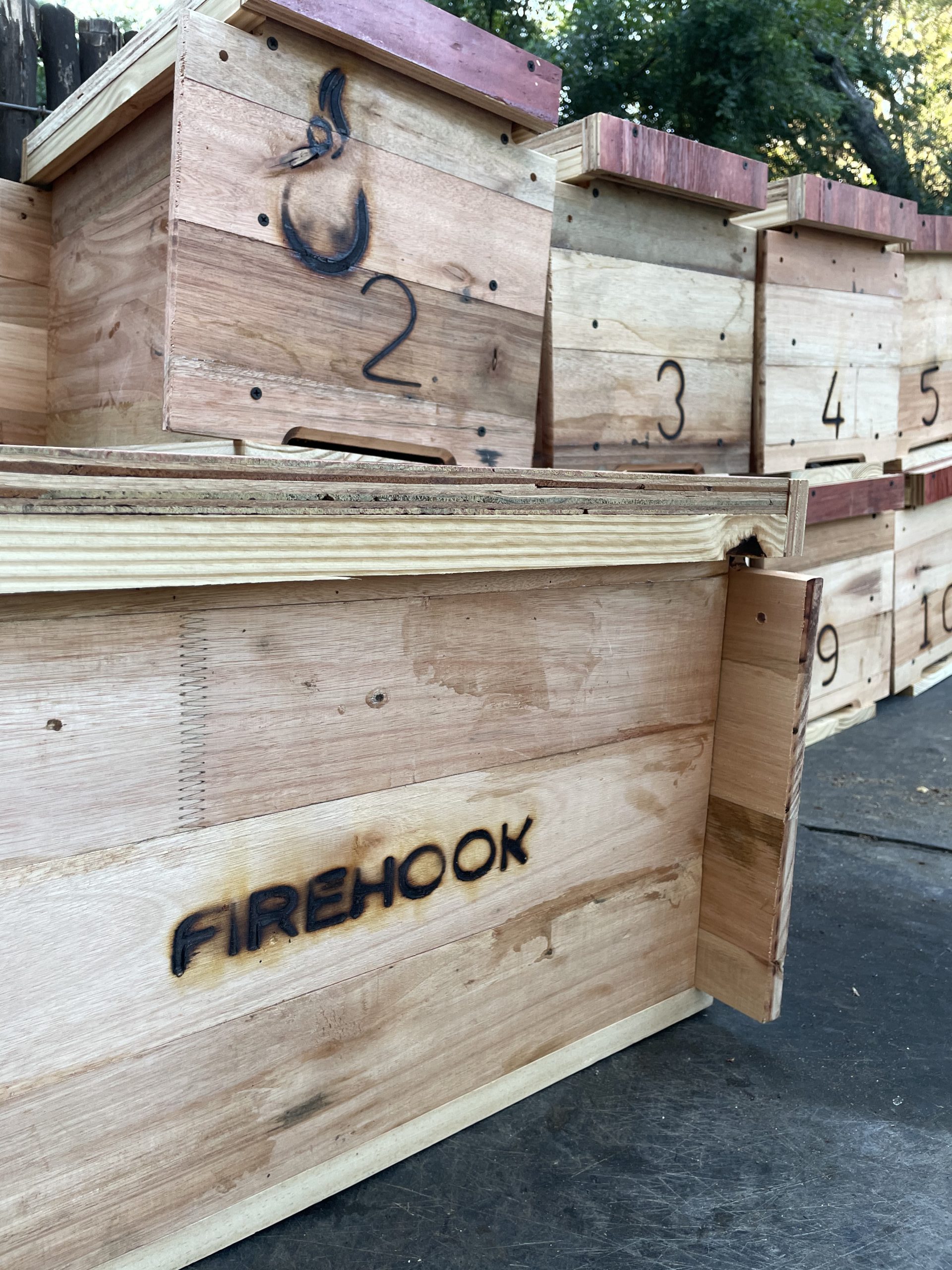 The Bee Project – Firehook Foundation